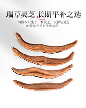 `֥֦Ƭ250gɽ|̩ɽ`֥؛ҰӷݾƲ