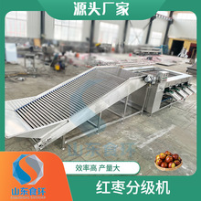 农产品挑选台 水果分拣挑选机 滚杠式马铃薯 柠檬分选机 不伤果