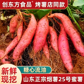 其他冲调饮品;其他果干蜜饯;中式养生冲饮