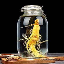 泡酒玻璃瓶食品级家用密封罐带盖泡菜坛子腌菜专用自酿酒瓶空瓶子