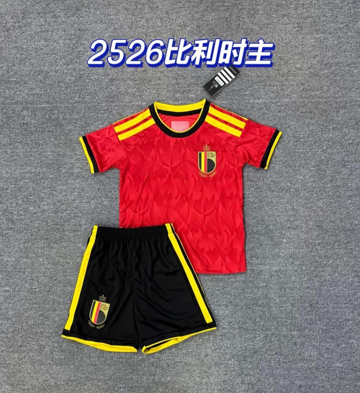 2526벨기에 홈코트