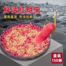 �t���x���r��ē����~�D�t���x��̖���ʯ���R�ڰחl���a�~Ϫ��11