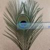 Factory wholesale peacock feathers 25-30 cm peacock tail feather tail feathers and peacocks peacock eye peacock sword