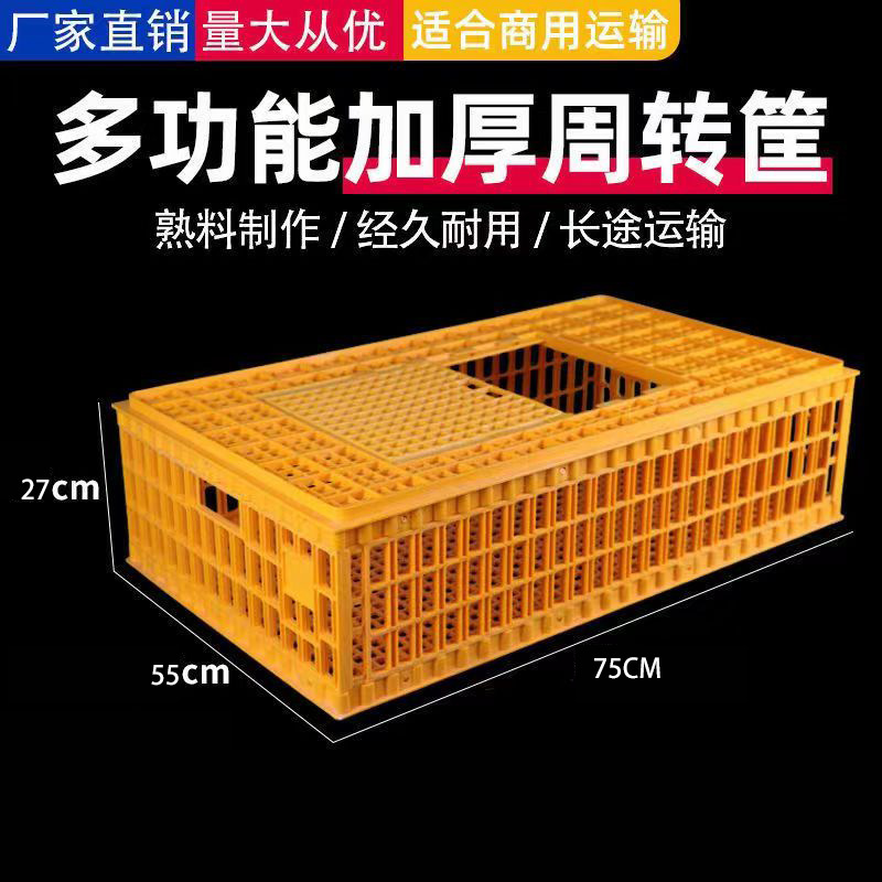 Los fabricantes suministran jaulas de plástico para pollos gruesos, pollos, patos, gansos, palomas y conejos.