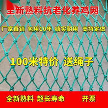 拦鸡网养鸡围网家禽养殖网山鸡网尼龙网菜园围栏网塑料网户外天网