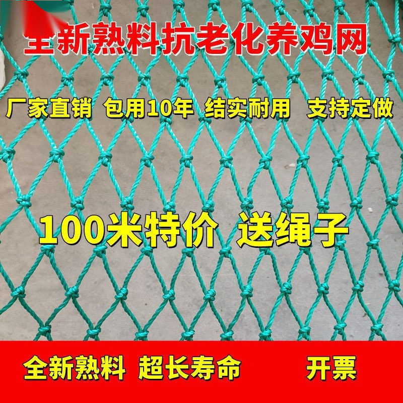 拦鸡网养鸡围网家禽养殖网山鸡网尼龙网菜园围栏网塑料网户外天网
