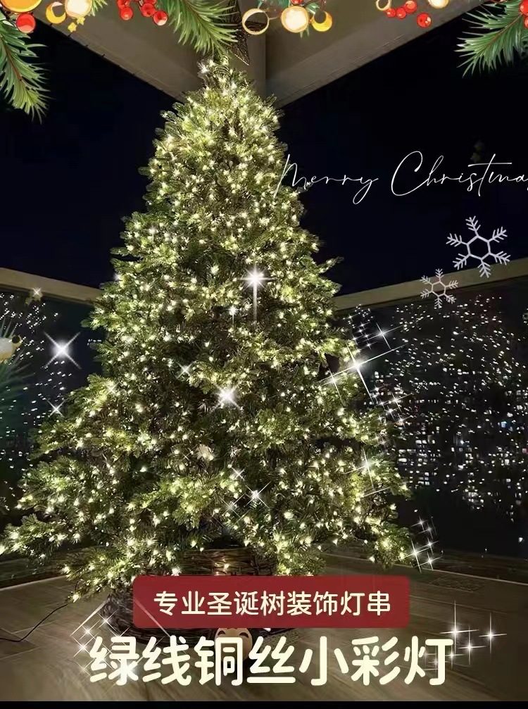 图片_20231207081822