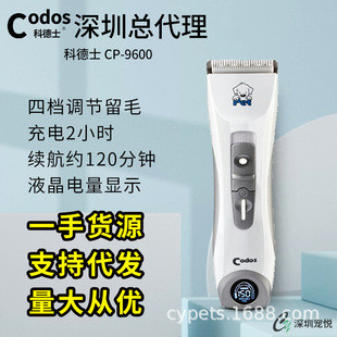 羳CodosƵʿCP9600Ȯ؈ȮƼëë