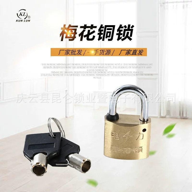 30 мм сливовый медный замок открытый замок измерителя мощности замок состояния сетки замок Kunlun замок свойства замок KL замок свойство замок