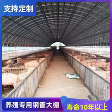 种植大棚大棚骨架养殖大棚鸡棚养猪棚蔬菜大棚花卉棚温室大垒德株