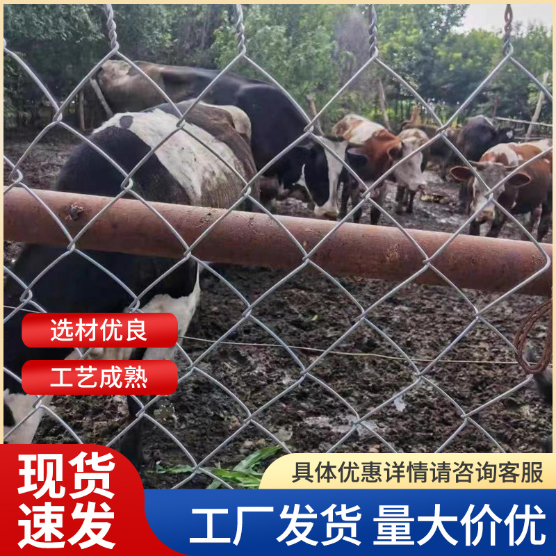 现货批发养殖勾花网种植园圈地围栏网养鸡鸭羊牛镀锌勾花网