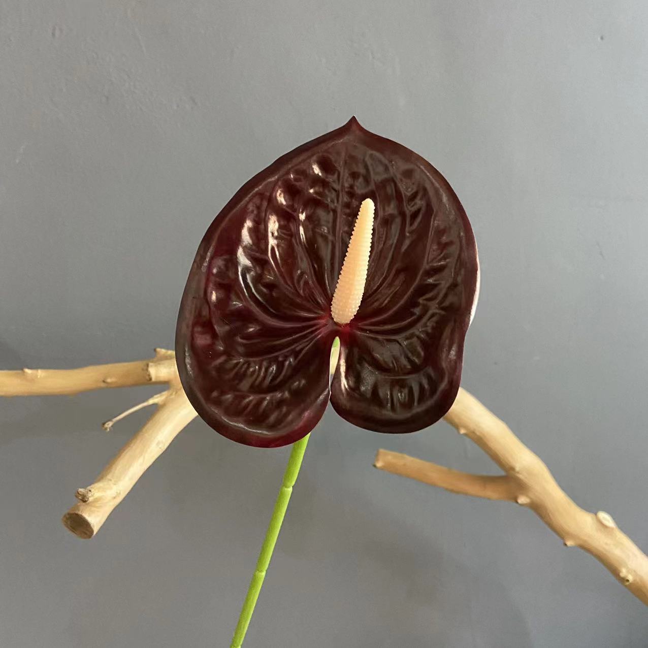 #21 (색상 당 10 개의 스틱 픽업, 덜 쏘지 마십시오)