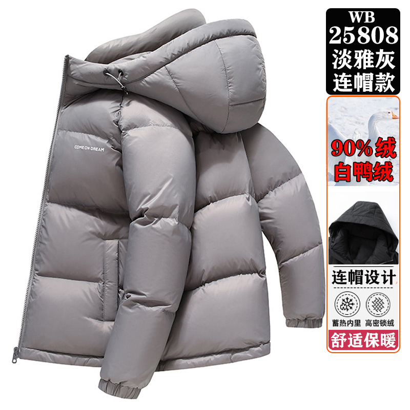 WB25808 엘레강트 그레이