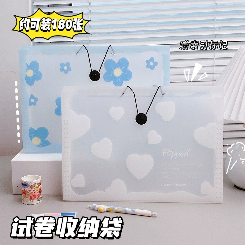 Capacious organ, multilayer bag for documents, storage system, folder for folders