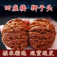 文玩核桃机刷高抛四座楼狮子头麒麟纹大官帽麻核桃替换后核桃盘玩