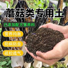 Ģ���I�B�����������̿��ֳ���~��������Ǿ��I�B������