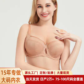 跨境欧美大码文胸女士大胸显小蕾丝文胸全罩杯胸罩内衣胖mm薄款