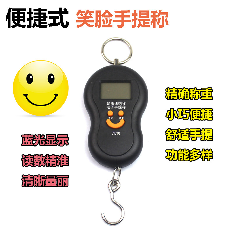 迷你称重电子称手提秤50kg便携式高精度家用快递称小秤弹簧小型秤