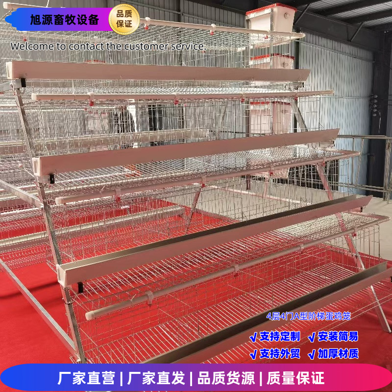 Una jaula de huevos de 4 capas de 4 puertas, una jaula de escalones tipo A, tecnología de galvanizado en frío / galvanizado en caliente, crianza de gallinas