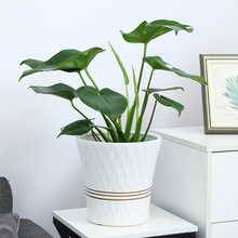 �մɻ�����ÿ͏d��̖��ɫ�p�ݸ߼��t���������þ����m��}�؃r