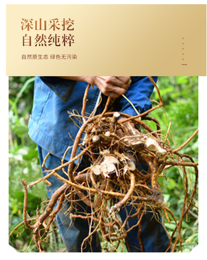 Dried Wuzhimaotao Root Rough Leaf Fig Root for Soup and Wine Soaking 500g in use