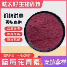 蓝莓花青素 食品级蓝莓冻干粉蓝莓提取物 现货包邮 肽太好生物