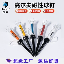 高尔夫配件;高尔夫球;高尔夫球钉