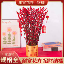 招财银柳真花鲜枝春节年宵花卉水培植物干