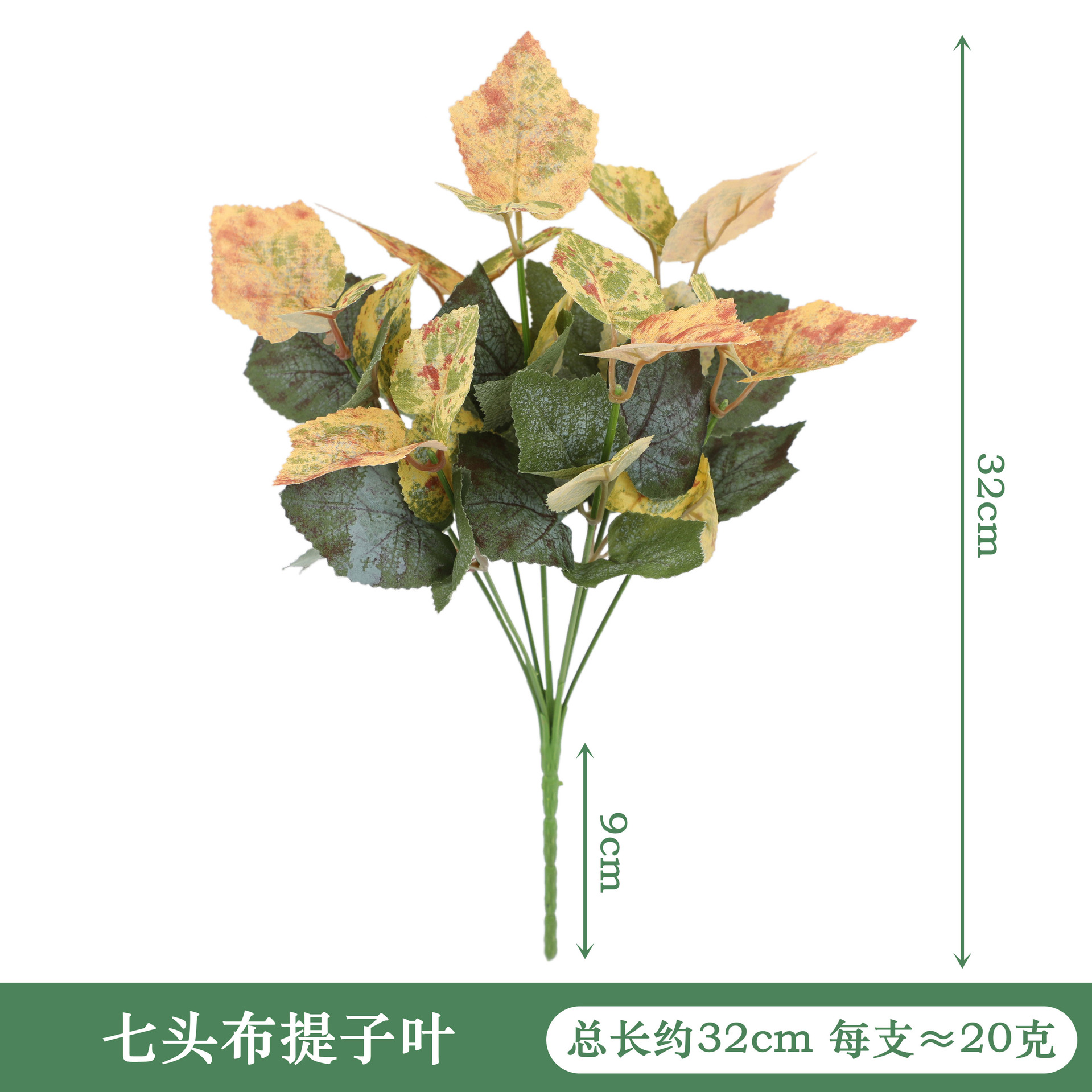 YAL33-180-7 # 일곱 머리 천 자엽