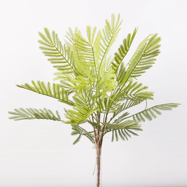 Mimosa bunch (large)