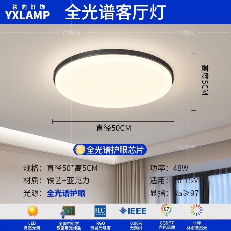 Luz de techo moderna y simple atmósfera 2025 nueva casa creativa Zhongshan paquete de lámparas de sala de estar lámpara principal