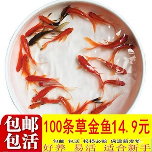 �ݽ��~���w�^�p�~��ˮ�~С���~���~��β�m�������\���~����~���l