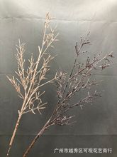 ��֦��ɫ���滨�ٻ��҃����F��ȸ֦��ɫľɫ�ɘ�֦��������ٗl