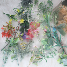 �S�����l��˪ˮ�� �¿�Ӽҷ���ֲ���b�Ʒ�[����c�����b���