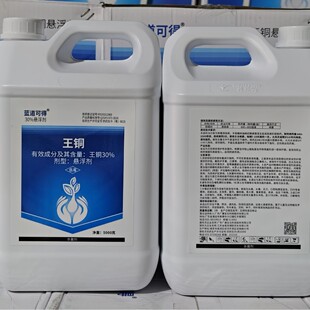 �{���ɵ�30%���~���ٯ��財�ڰ߲������߲˼����Բ��rș������5kg