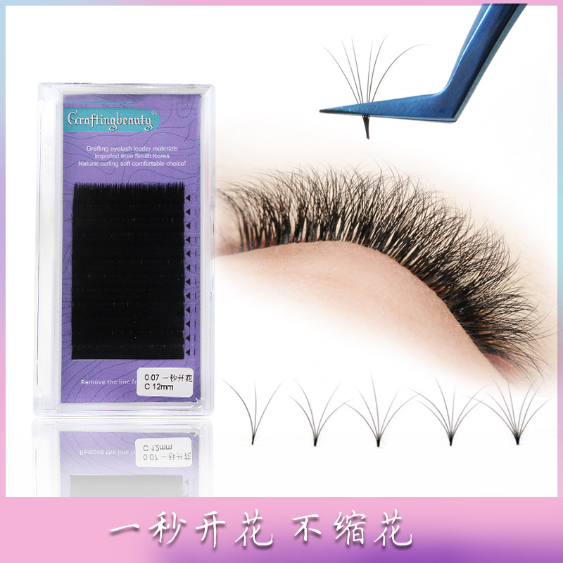 eyelash extension