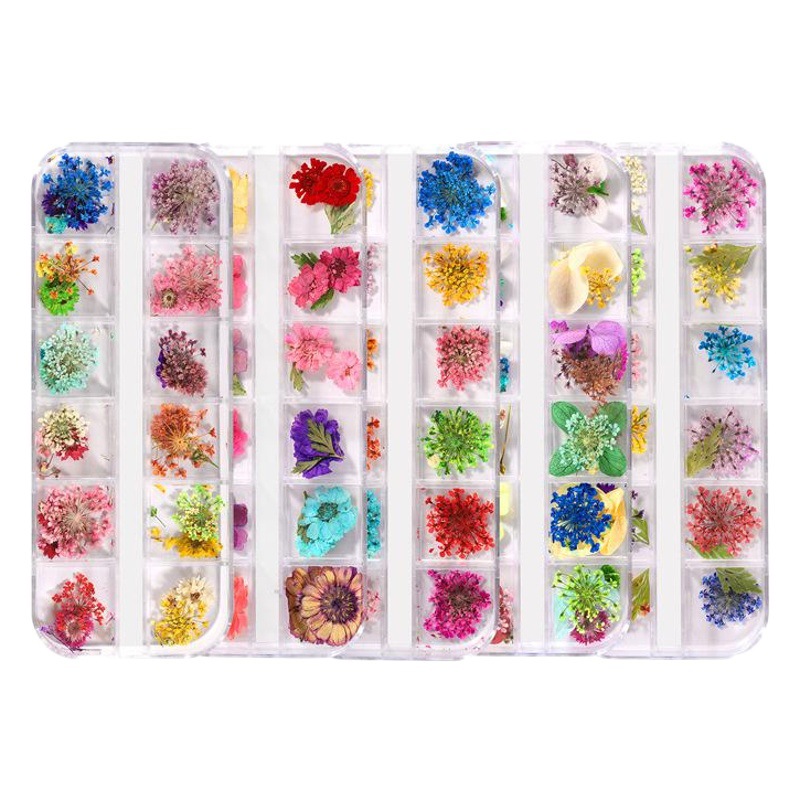 Nuevo estilo japonés flor seca de uñas 12 rejilla larga caja Ziyang flor estrellado Margarita flor eterna flor seca de uñas