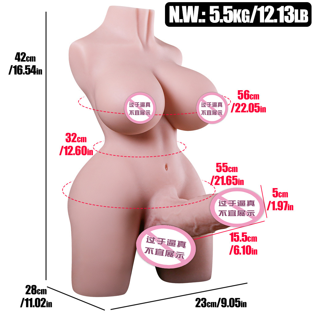 5.5kg 중성 반신인형(근육과 음경)