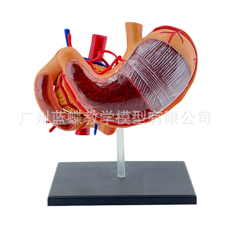 θ����ƴװģ�� �������ٽ���ģ�� �׶���������ģ��4Dθģ��