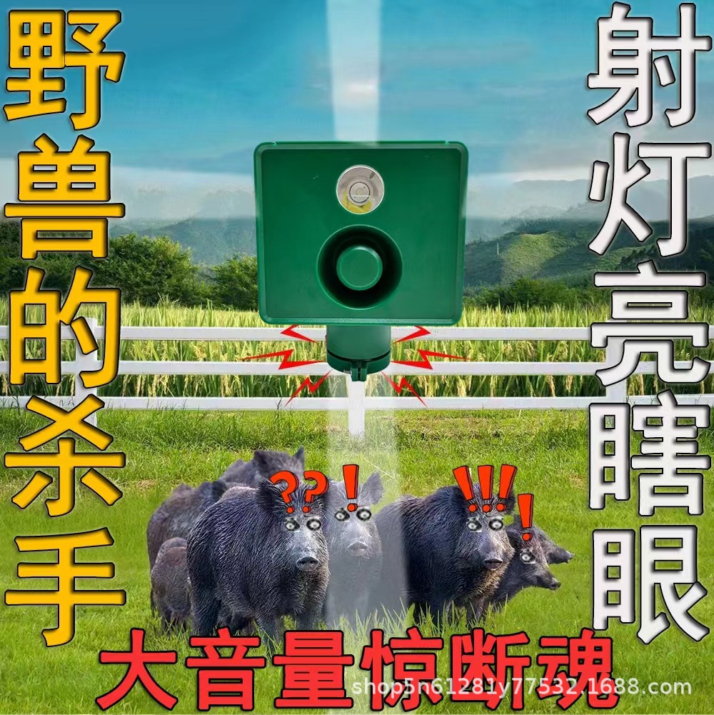 58a78afdc54bc0293688431b20f55f