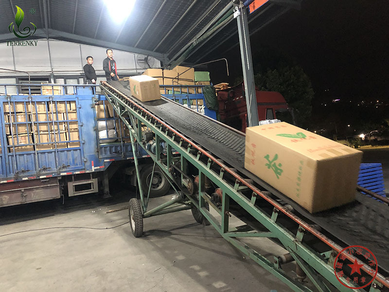 福建省安溪小志茶叶专业合作社