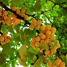 l ԮaNyӘ ^쾰·@ֹ̾G