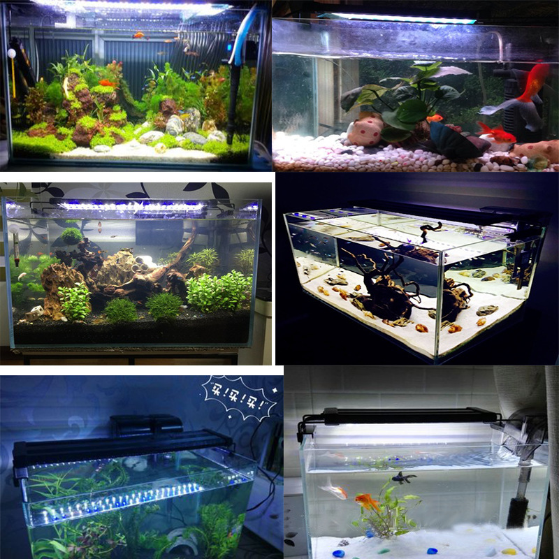 LED ˮƬ֧ܵˮ ZJL-120A ֧ܵ