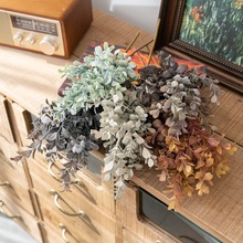 �������������\�������滨�S�ҼҾ��b�õ�廨���ٻ��羳CL11003