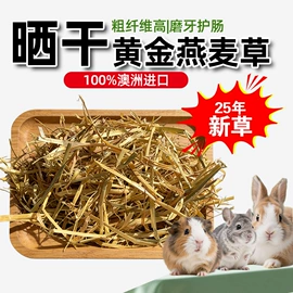 兔子主粮;狗狗窝/笼/垫;猫抓板