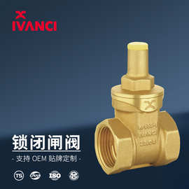 防盗闸阀锁闭铜阀门水表前全铜带锁4分6分三角锁防盗加密开关水阀