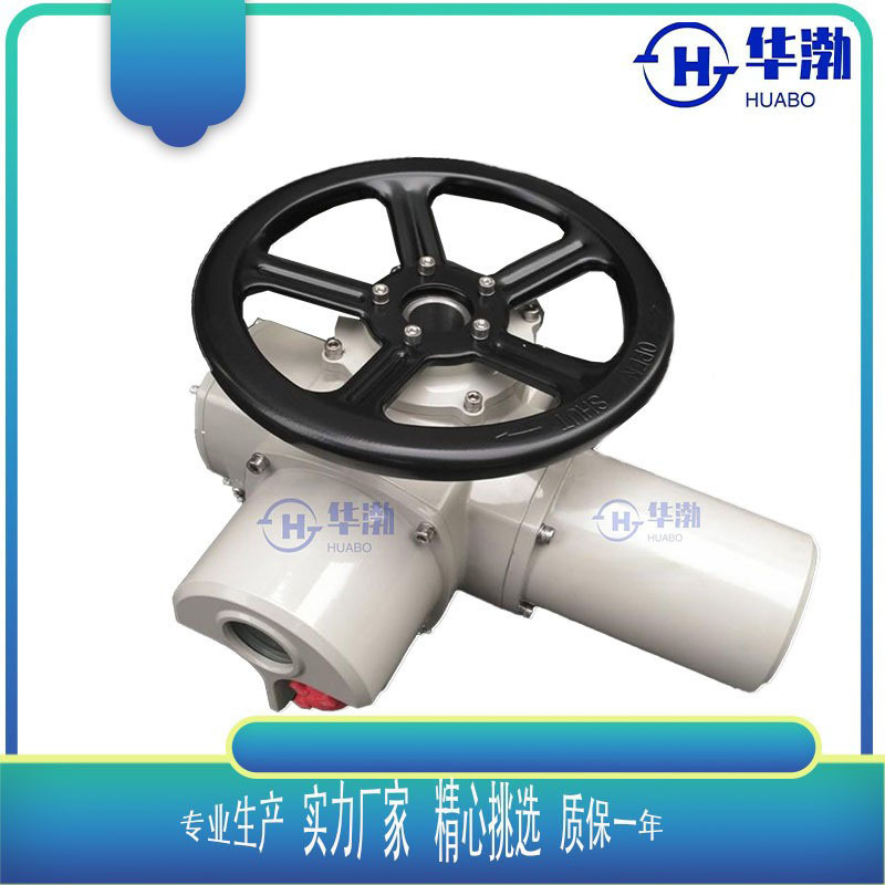 多回转电动执行器DZW30-18T智能型300nm多回转智能型阀门电动装置