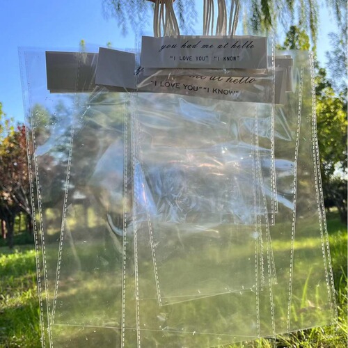 Transparent handbag gift bag plaster doll bag snack bag stationery jewelry bag funny gift bag souvenir bag 