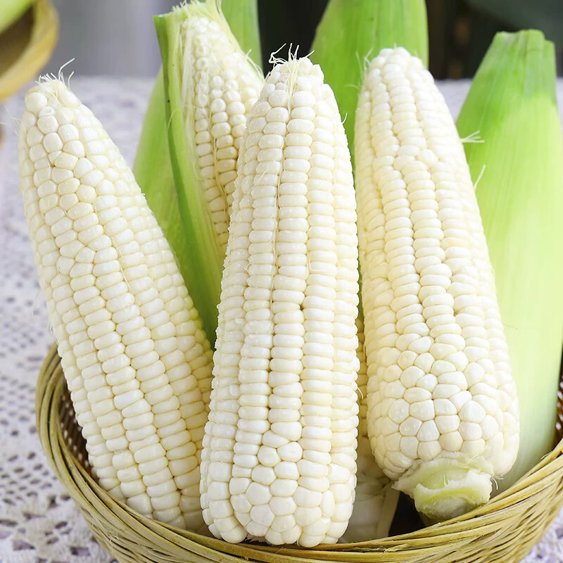 Свежая белая клейкая кукуруза из Гуанси на доставку 3/ 2.5kg Свежая цельная кукуруза на коленке, нежная кукуруза, сезонные овощи, липкая кукуруза