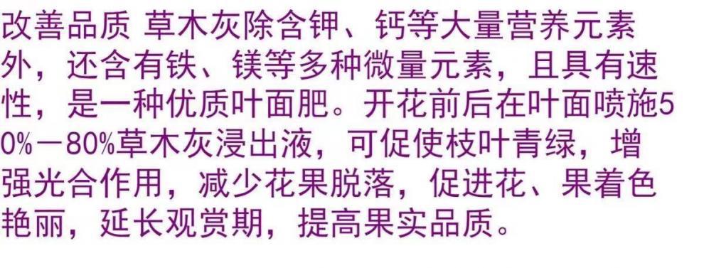 59496c9f-69ca-410f-9cac-c78beb705a82.jpe